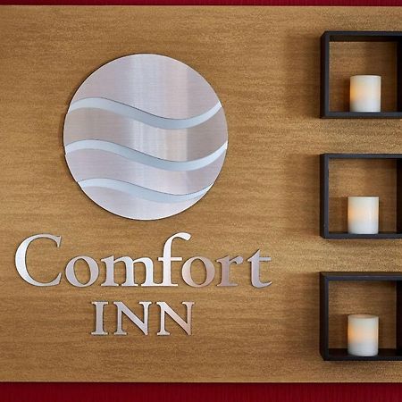 Comfort Inn Rouyn Exterior foto